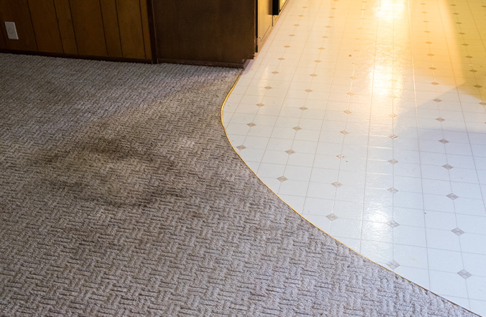 Carpet Stain Removal for Cincinnati