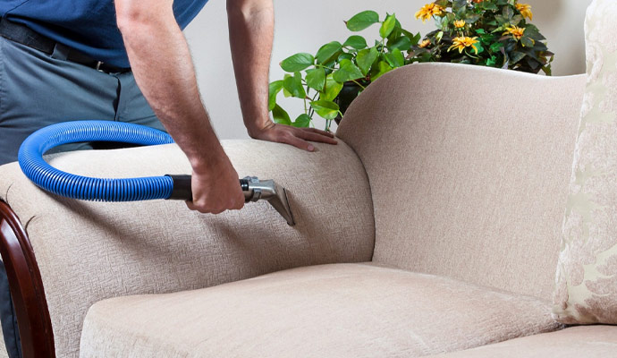 Upholstery and Furniture Cleaning
