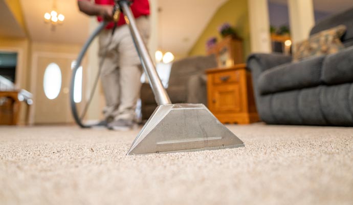 Carpet Cleaning