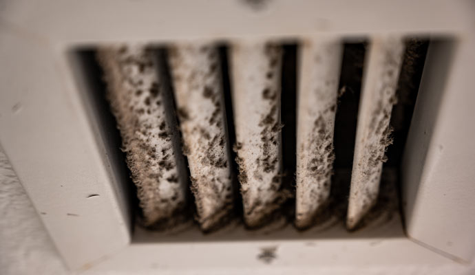 Mold in air duct