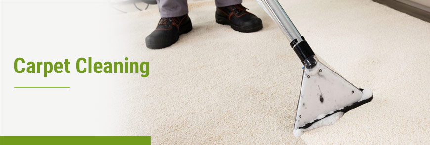 How to clean a rug: Area rugs, shag rugs, wool rugs and more