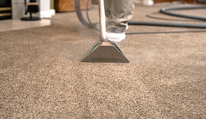 Professional worker cleaning carpet with a steam cleaner.