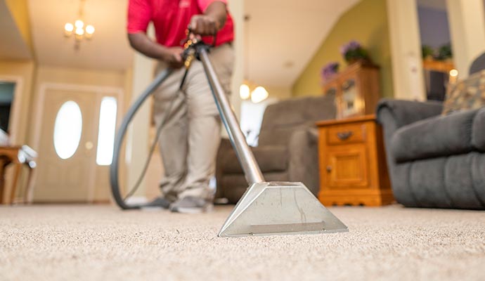 Carpet Cleaning Options Beyond Shampooing in Cincinnati