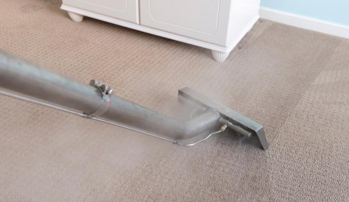 carpet cleaning with steam cleaner