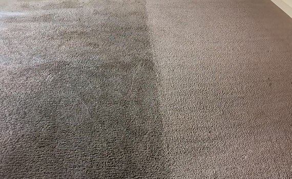 Before and after Carpet cleaning