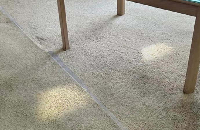 Carpet with bleach spot