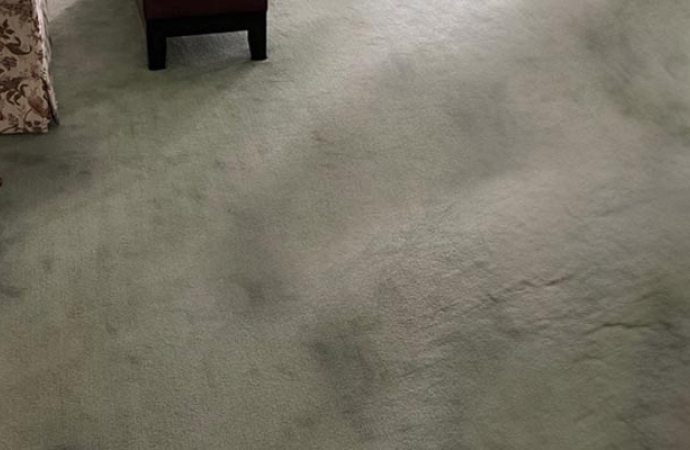 Carpet with mold