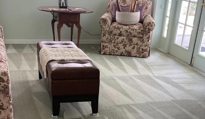 a room with clean carpeted flooring