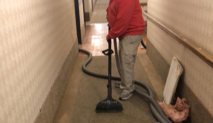 Expert worker cleaning carpet using low-moisture method