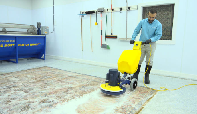 Professional worker cleaning rug