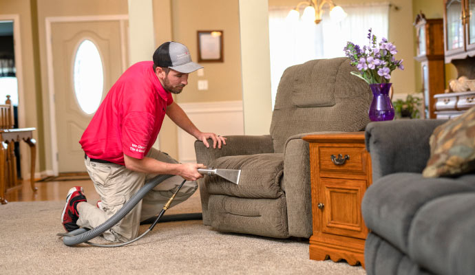 Professional worker cleaning upholstery