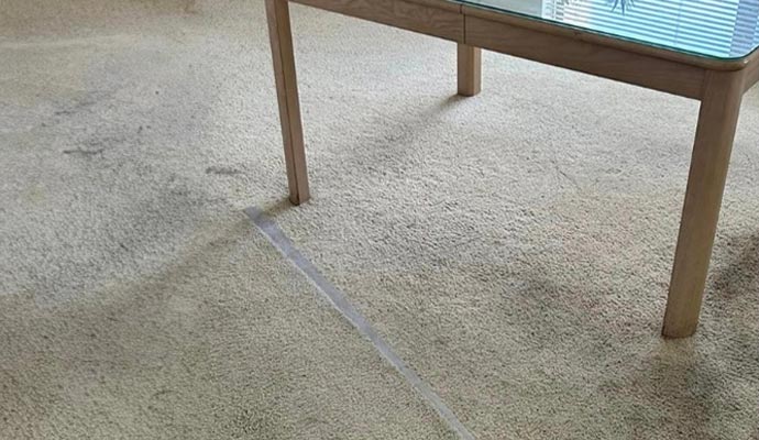 dirty carpet on the floor