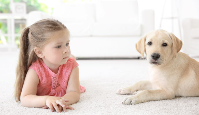 A Kid and a dog on rug