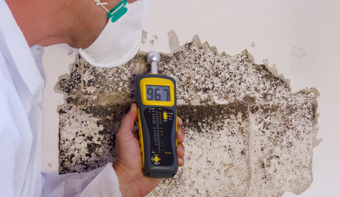 A person checks the moisture level in a damaged wall using a moisture meter