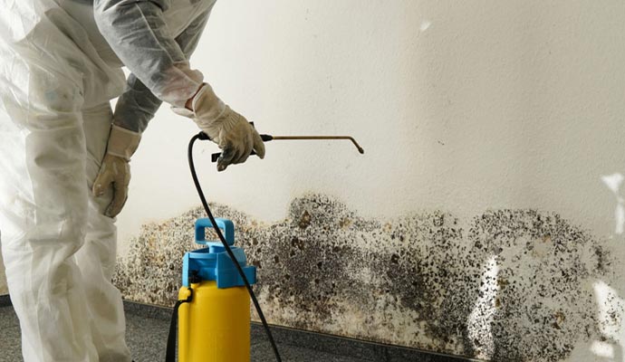 removing mold from the wall