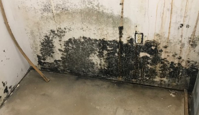 A moldy wall