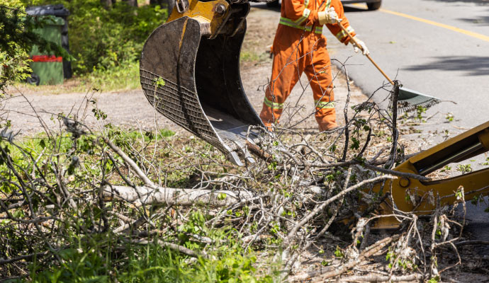 Tree removal on the road using excavato