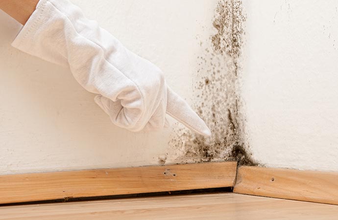 inspecting mold on wall beside window